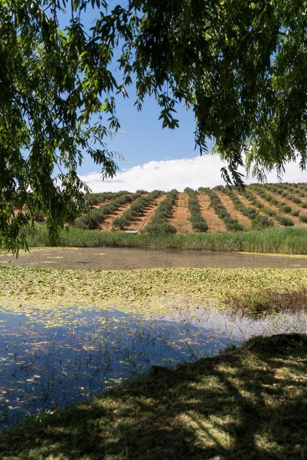 PiketbergKleinkloof Farm别墅 外观 照片